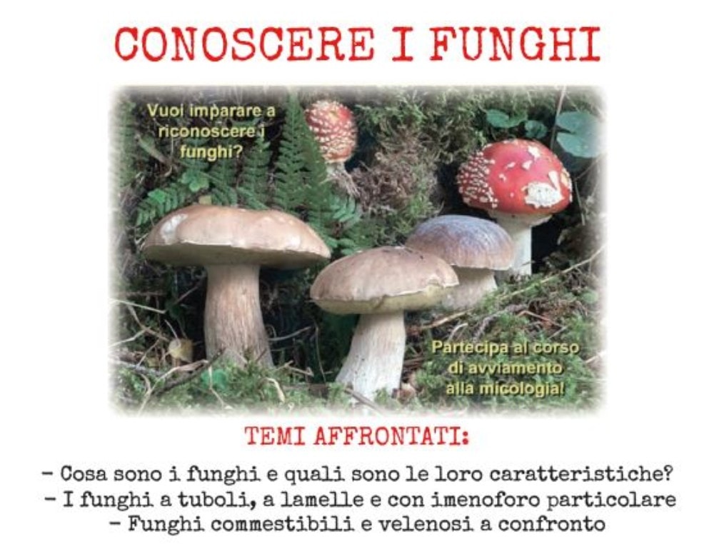 Tolfa – Corso di formazione micologica promosso dall’Università Agraria