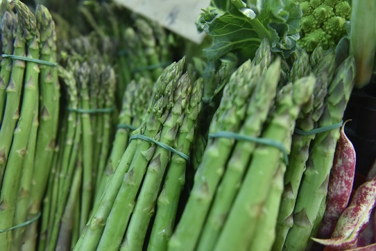 Dalla regione Lazio 2,5 milioni di euro per promuovere l’enogastronomia locale