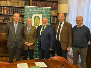 Olio Evo, accordo Confagricoltura-Unapol per slancio al comparto
