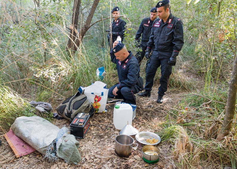 Spaccio di droga nei boschi sempre più diffuso nell’Alta Tuscia