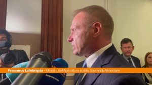 Lollobrigida “Pronti a intervenire su speculazioni prezzo del grano”