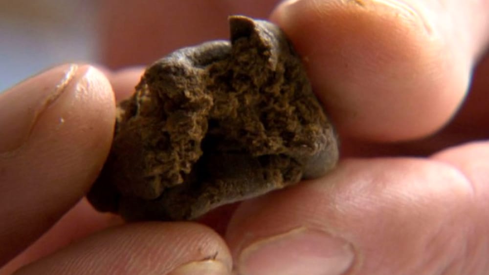 Palombara Sabina, 16enne spaccia davanti alla scuola: “Lo faccio per aiutare la famiglia”