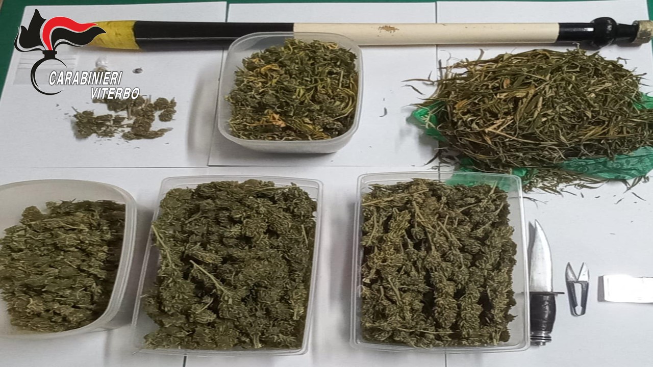 Soriano, in piazza con marijuana e una mazza da baseball: in manette un quarantanovenne
