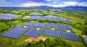 Viterbo – Fotovoltaico, Coldiretti scrive alla Regione: “Il consumo di suolo va fermato”