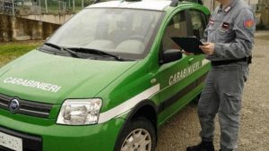 Terracina, padre e figlio si perdono nei boschi: recuperati dai Carabinieri