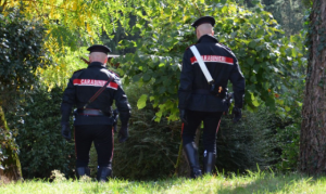 Carpineto Romano – Rubano 20 quintali di legna, due denunciati