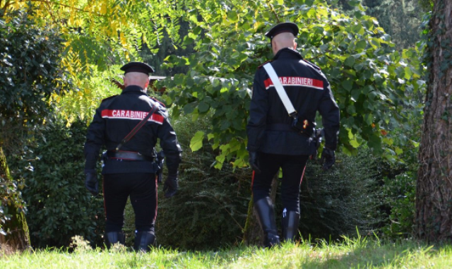 Carpineto Romano – Rubano 20 quintali di legna, due denunciati
