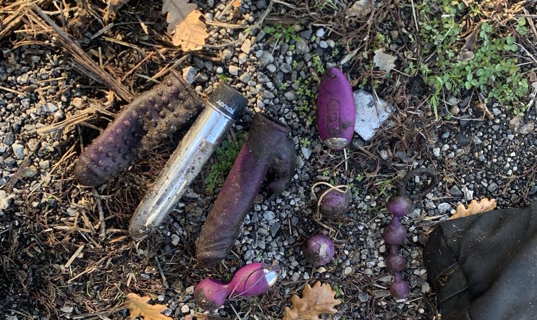 Viterbo – Vibratori tra le erbacce, i ritrovamenti di CleanUp