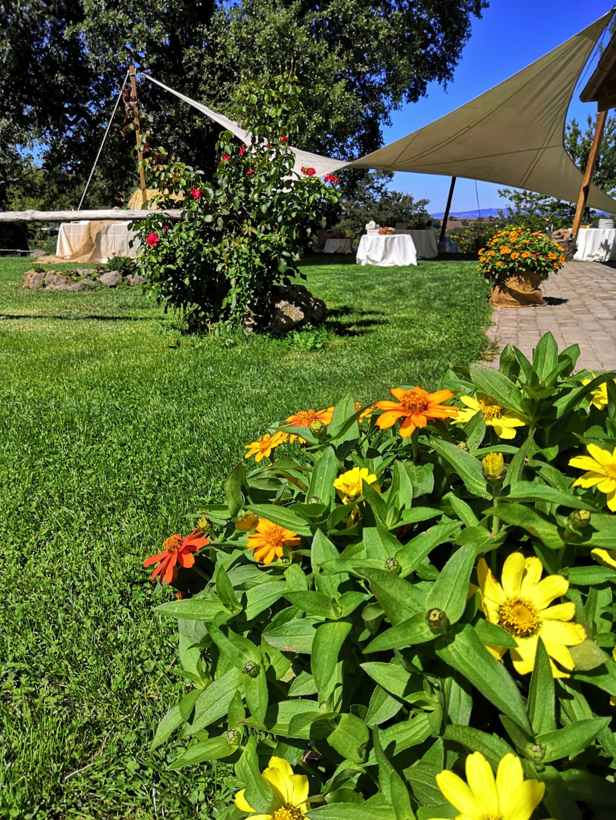 Boom degli agriturismo durante le festività: nella Tuscia la metà delle presenze di tutto il Lazio