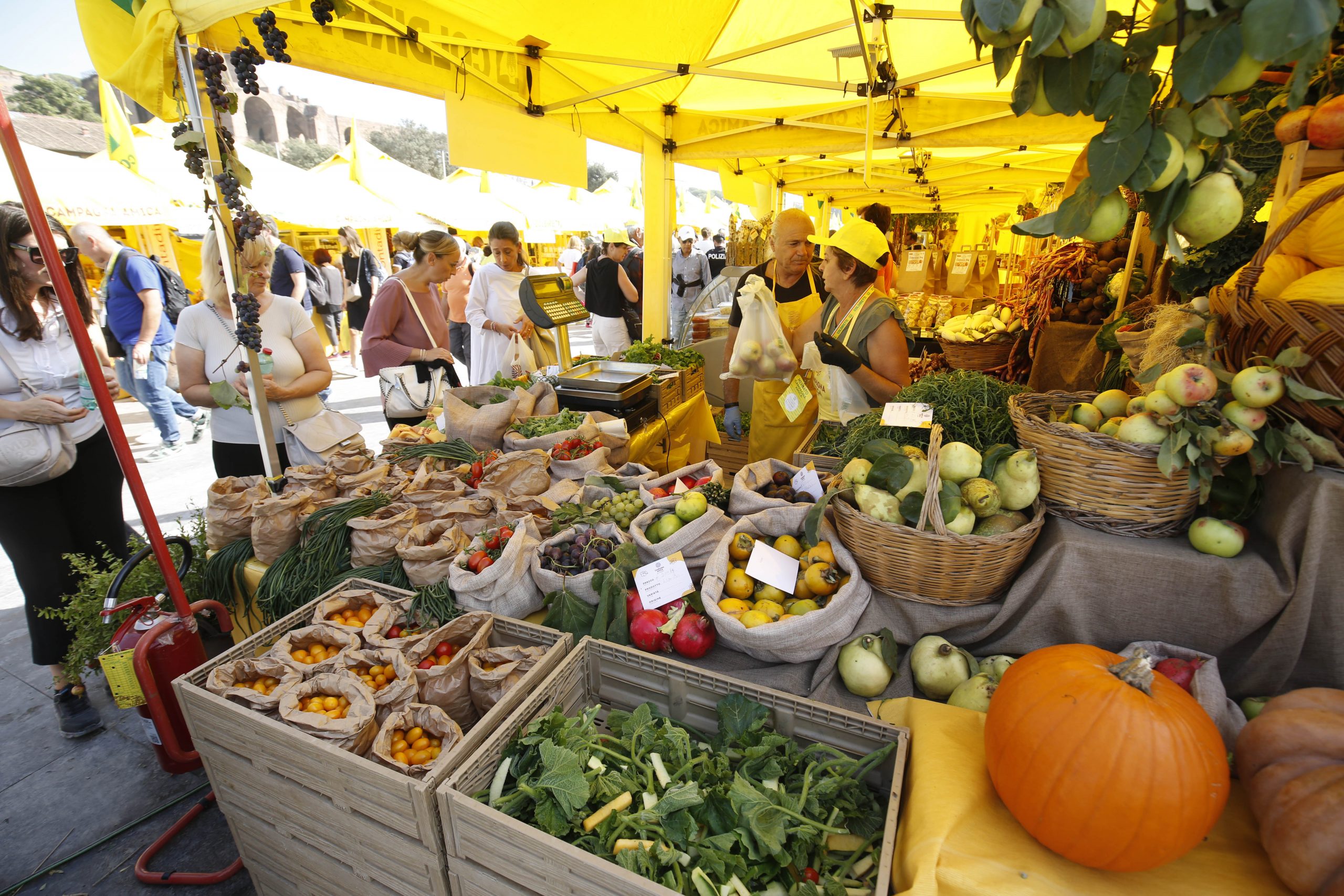 Maltempo – Coldiretti, allarme gelo per ortaggi e frutta