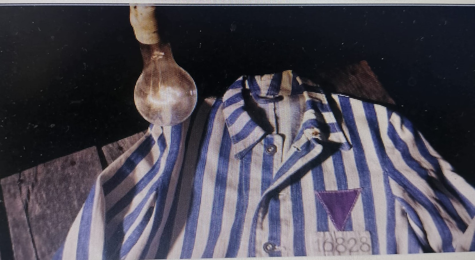 Oltre 13mila i Testimoni di Geova perseguitati dai nazisti