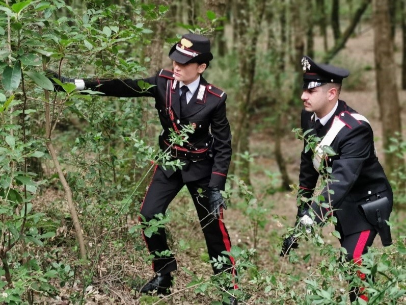 Anziana scomparsa trovata morta nel bosco: fermato il figlio per occultamento di cadavere