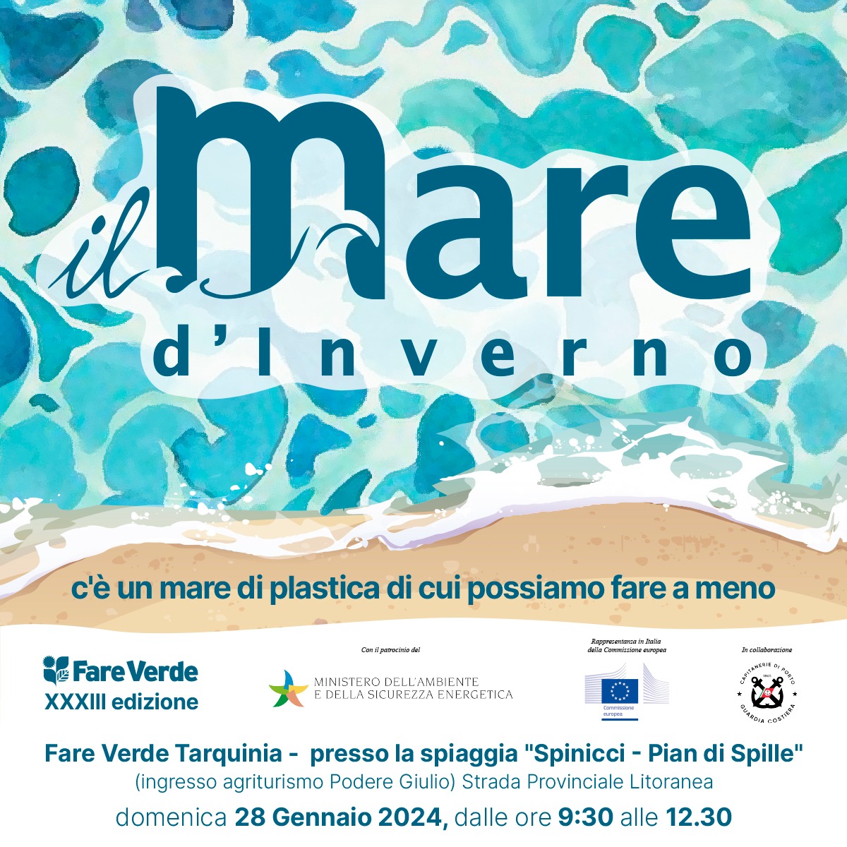 Tarquinia – Torna anche quest’anno “Il mare d’Inverno”, la pulizia della spiaggia organizzata da Fare Verde