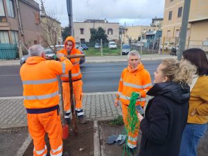 Cerveteri, nuove alberature in via Settevene Palo