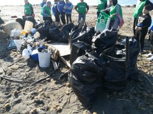 “Il Mare d’Inverno”: anche un fiasco di vino ed una boa nei 35 sacchi di rifiuti raccolti da Fare Verde tra Tarquinia e Civitavecchia