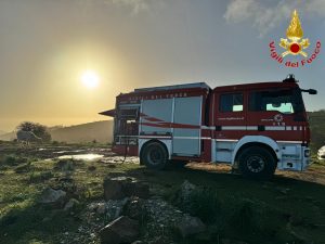 Civitavecchia, vitellino cade in un pozzo: lo salvano i Vigili del Fuoco (FOTO)