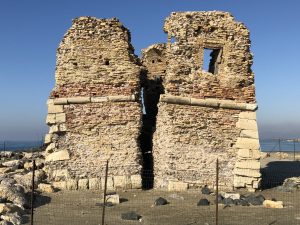 Torre Flavia a Cerveteri: la sindaca Gubetti vieta l’accesso ai cani