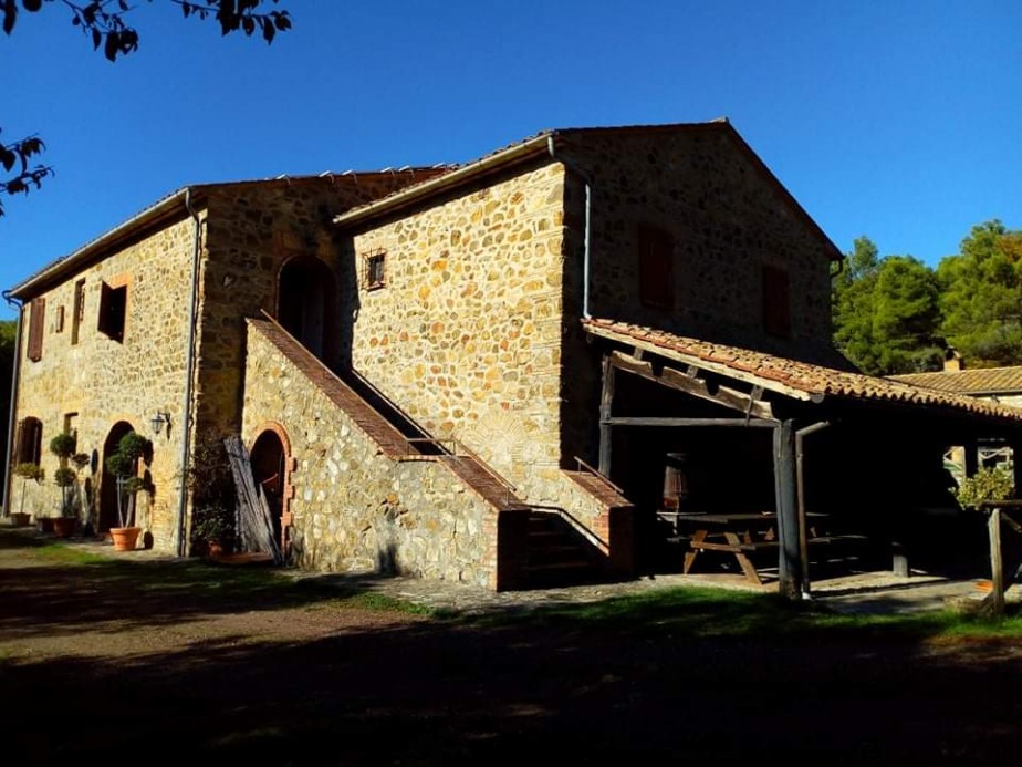 Acquapendente – Corso di potatura degli ulivi alla cooperativa Alicenova