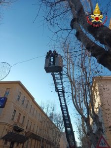 Civitavecchia, tranciato cavo delle luminarie natalizie in centro: devono intervenire i Vigili del Fuoco