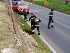 Canino, tre cuccioli di cane appena nati recuperati dai Vigili del Fuoco in una cavità sulla Castrense