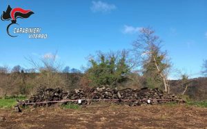 Cellere, 400 traversine ferroviarie abbandonate in un cantiere boschivo