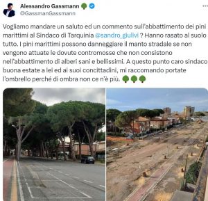 Taglio pini marittimi a Tarquinia, Alessandro Gassman: “Portate l’ombrello perchè di ombra non ce n’è più”