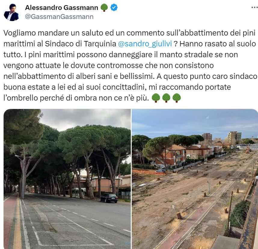 Taglio pini marittimi a Tarquinia, Alessandro Gassman: “Portate l’ombrello perchè di ombra non ce n’è più”