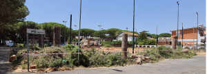 Tarquinia – Quando tagliare alberi, che fanno più danni che ombra, divide anche i soliti ambientalisti