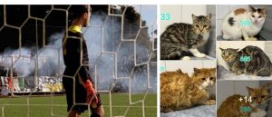 Pomezia: bombe acustiche all’interno della Riserva naturale