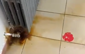 Viterbo, gli studenti del ITT Da Vinci smentiscono il preside: “Il riscaldamento non funziona ancora”