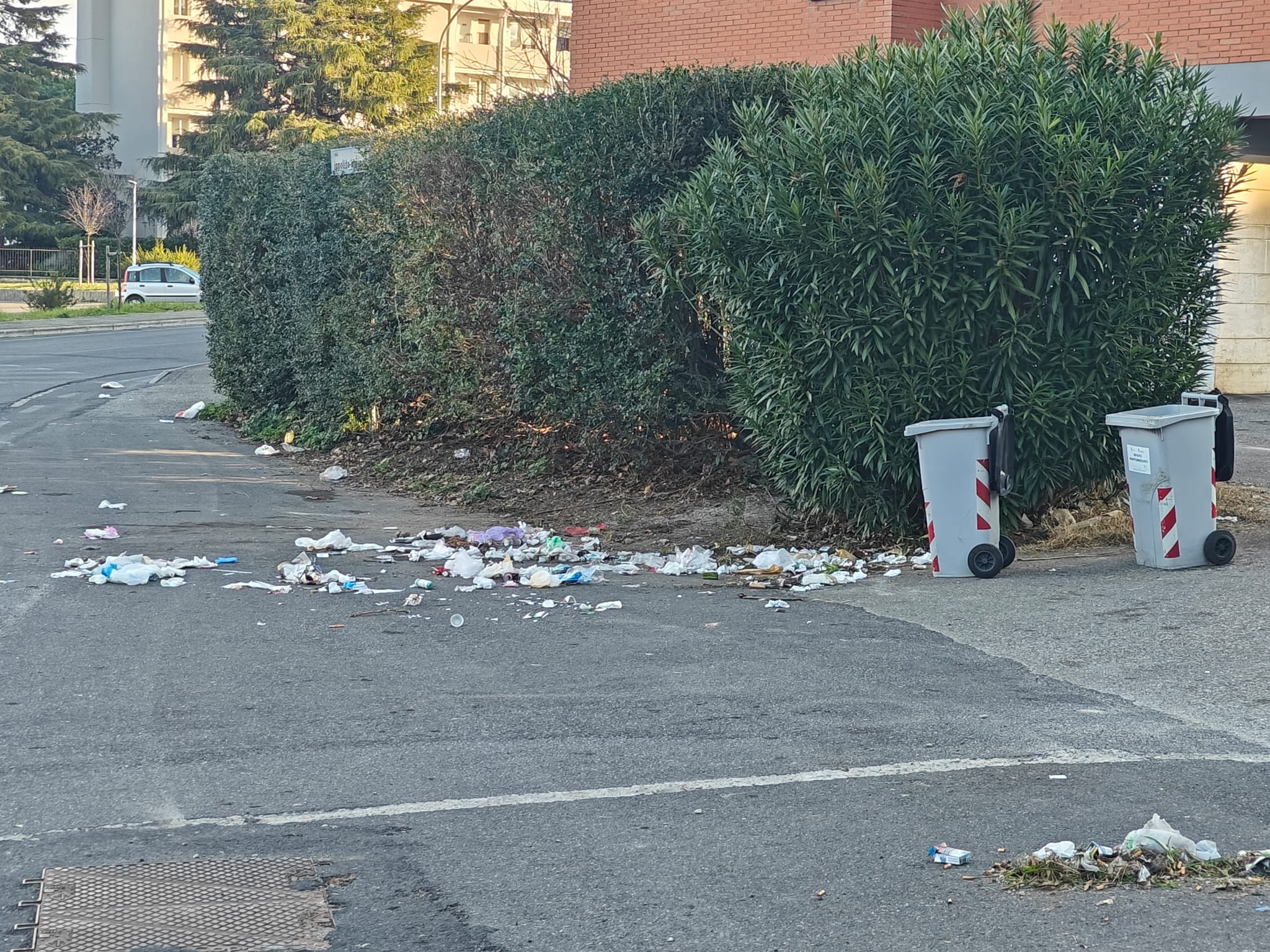 Viterbo, raccolta differenziata nel degrado: “Rifiuti ovunque, la mattina le macchine devono fare lo slalom”
