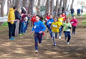 A Tarquinia i campionati provinciali di Cross: bene i giovanissimi della Finass