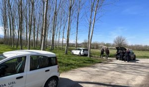 Orrore a Cassino, torturano e uccidono due cani, denuncia Enpa