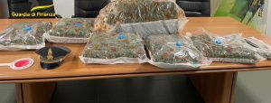 Rieti, le Fiamme Gialle scoprono 20 chili di marijuana in un pacco postale