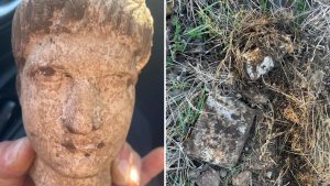 Ancora scoperte a Falerii Novi, dall’antica città emerge una bellissima testa marmorea