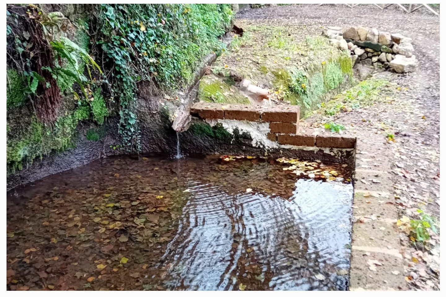 Antica sorgente etrusco-romana torna al suo splendore nel viterbese
