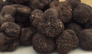 Frosinone – Evasione fiscale e frode alimentare per 23 milioni di euro, denunciata società di tartufi