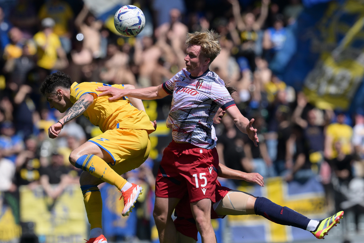 La domenica del Frosinone: bloccato Motta, punto continuità, speranze salvezza