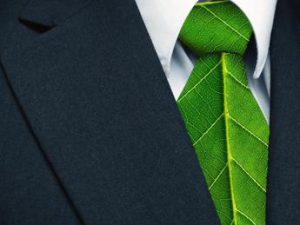 Green jobs, in Italia è divario tra domanda e offerta