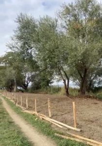 Montefiascone – Lipu Viterbo scrive alla sindaca: “Distrutta area di nidificazione di Folanghe e Svasso Maggiore”