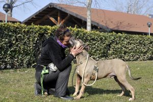 Istituzione parco canile: la Lega si attiva presso la Regione per il benessere animale