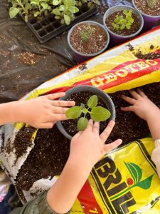 Aprilia – 37ᵃMostra Agricola CampoVerde fino al 1 maggio