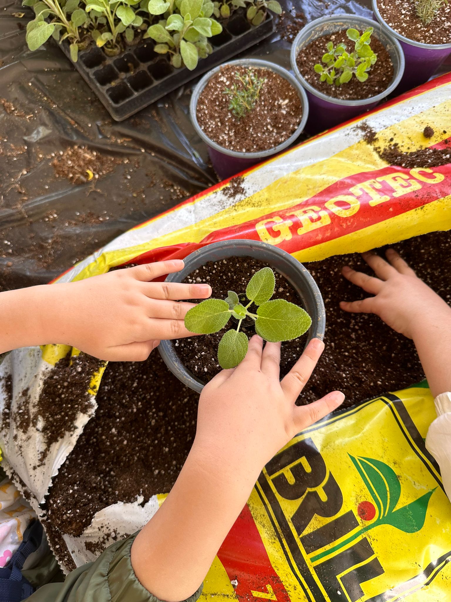 Aprilia – 37ᵃMostra Agricola CampoVerde fino al 1 maggio