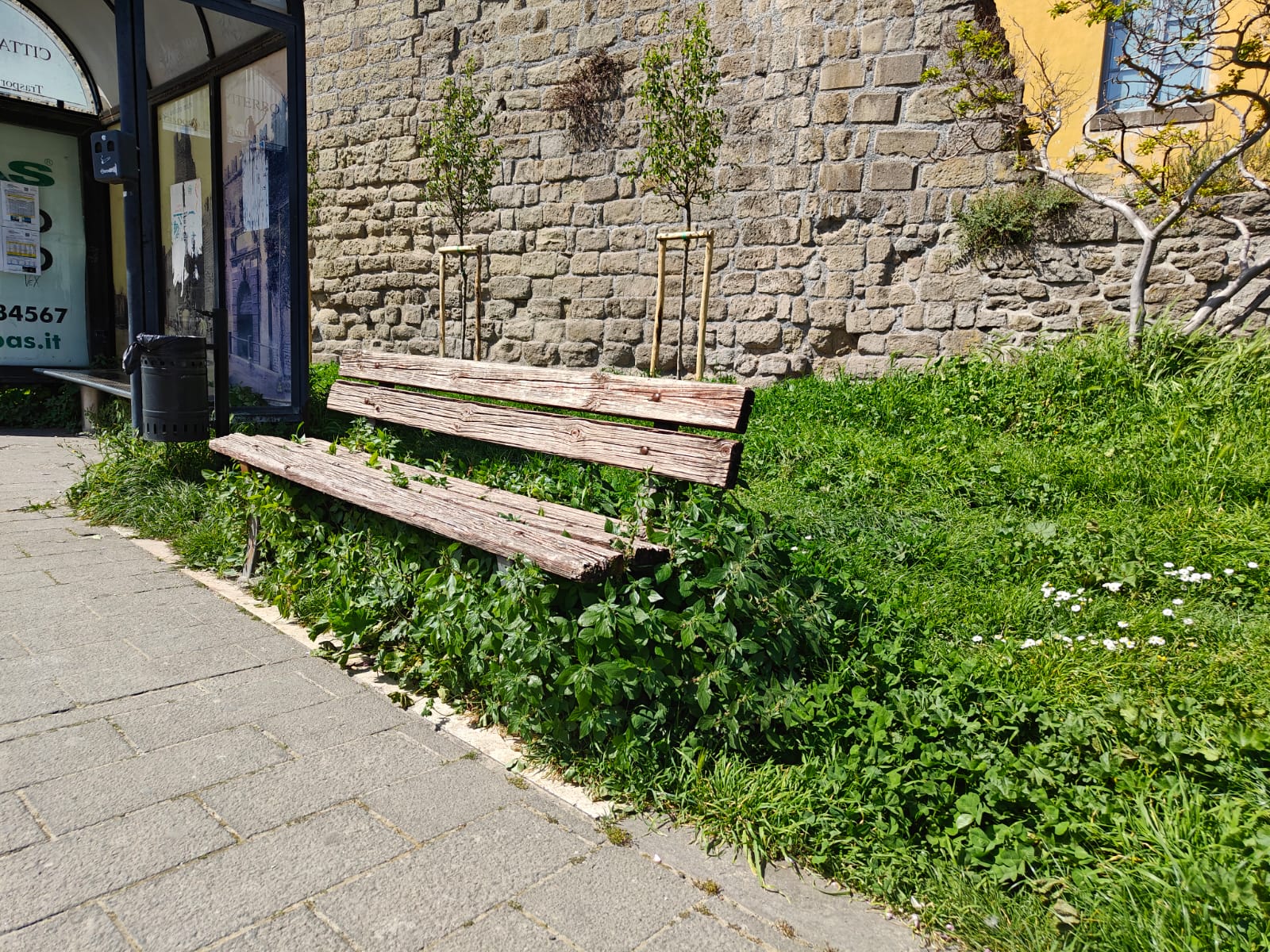 Viterbo, altolà del Comune per chi non taglia il proprio verde: ma chi controllerà l’amministrazione? (FOTO)