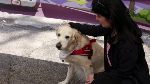 In centinaia per la ripartenza del Pet Camper Tour