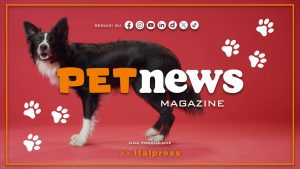 PetNews Magazine – 30/4/2024