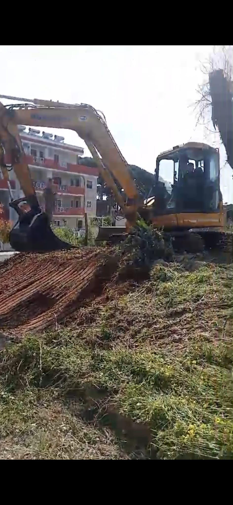 Santa Marinella, iniziata la bonifica del Cantinone