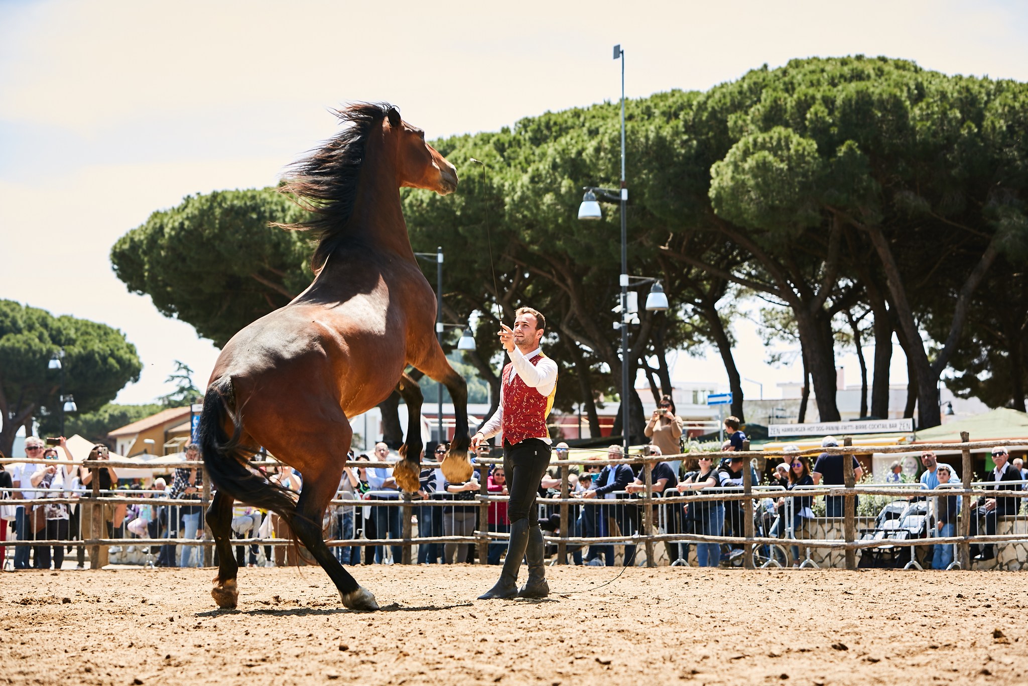 Maremma d’aMare, torna a Montalto la fiera delle tradizioni maremmane