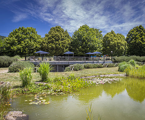 Viterbo, si avvicina il “bomba-day” e il Parco dei Cimini invita i cittadini che dovranno lasciare la città