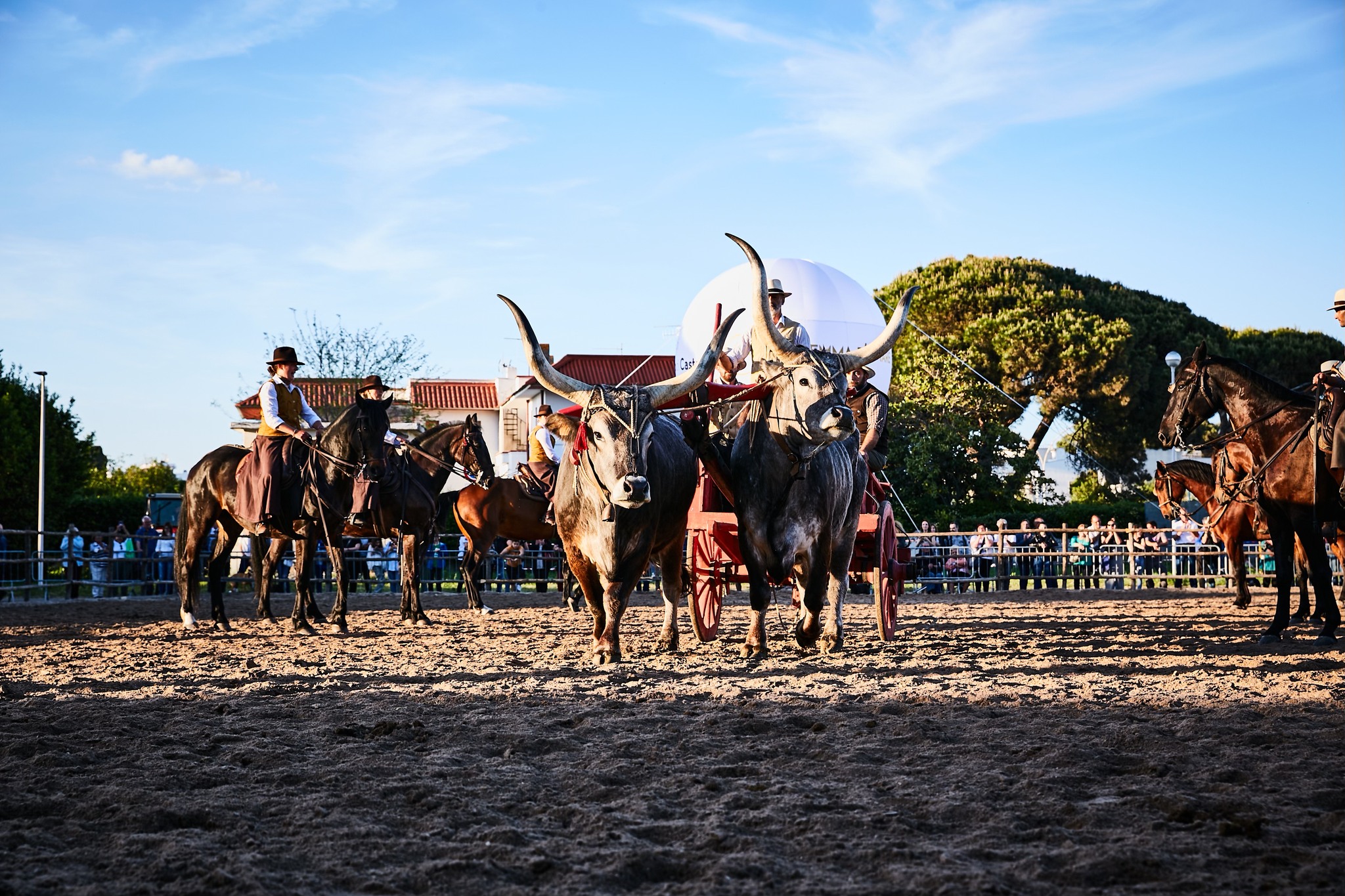 Montalto di Castro – Il successo di Maremma d’aMare: un trionfo di tradizione e cultura